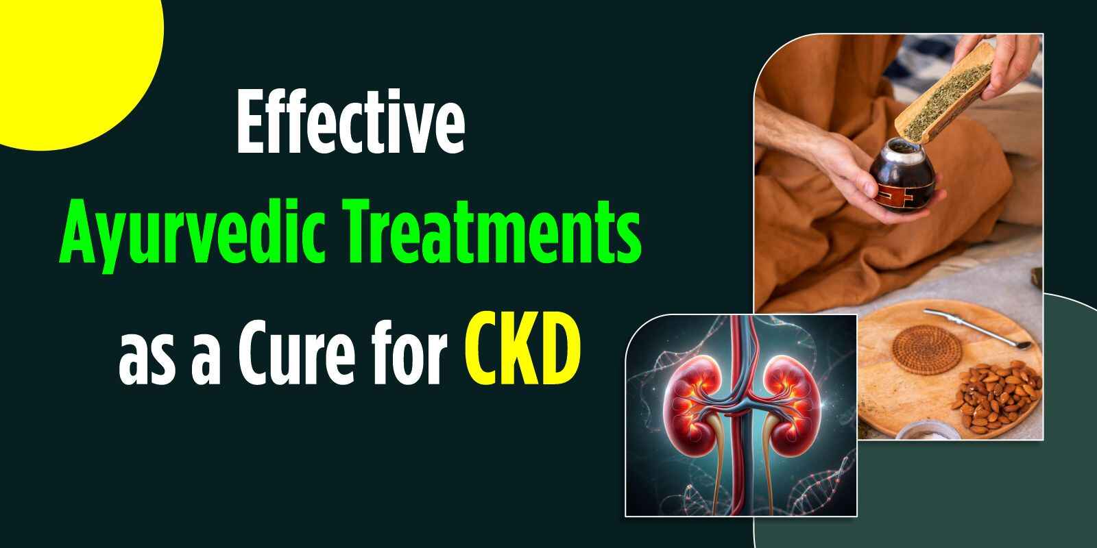 Effective Ayurvedic Treatments as a Cure for CKD